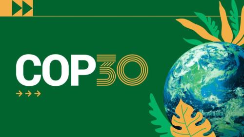 謝展寰出席聯合國氣候大會 介紹香港氣候行動藍圖