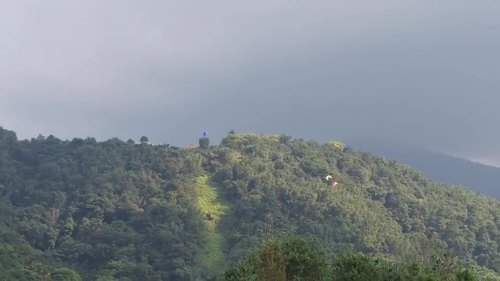 (有片)港男台灣玩滑翔傘疑操作失誤 半空釀兩傘相撞齊墮林