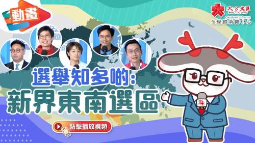 （有片）動畫｜選舉知多啲：新界東南選區