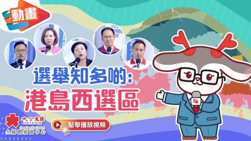 動畫｜選舉知多啲：港島西選區