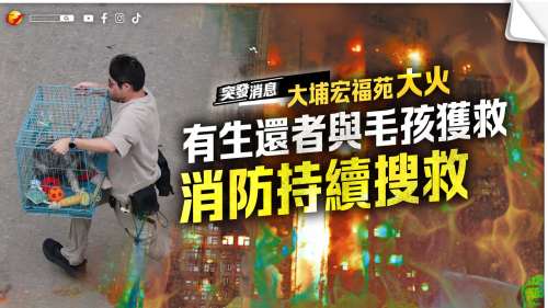 （有片）大埔宏福苑大火│有生還者與毛孩獲救　消防持續搜救