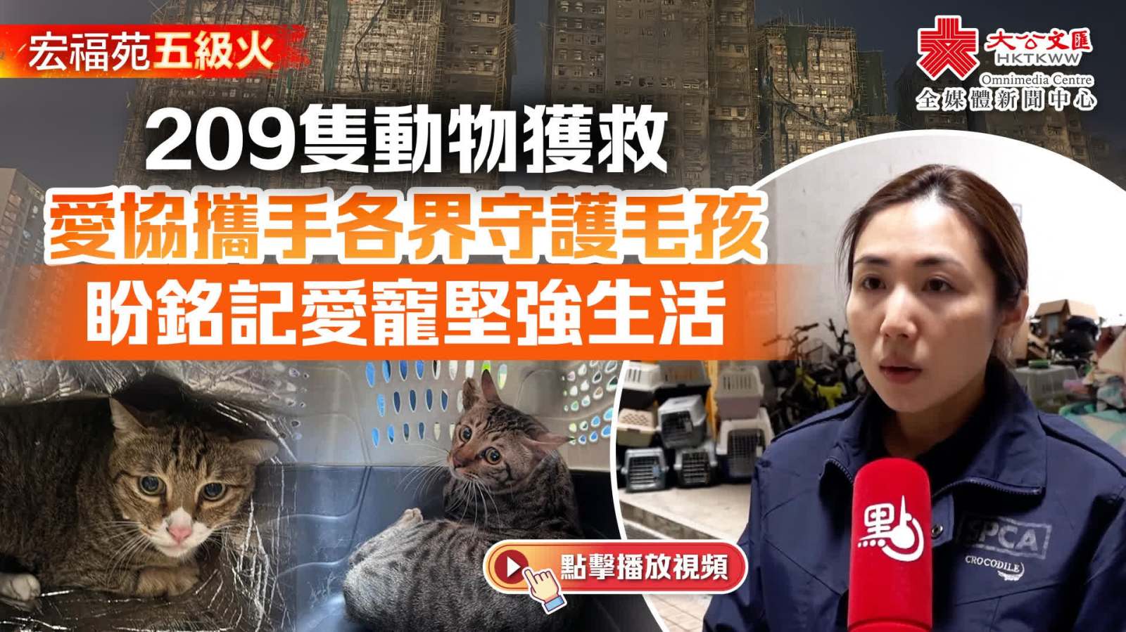 大埔宏福苑大火｜209隻動物獲救　愛協攜手各界守護毛孩　盼銘記愛寵堅強生活