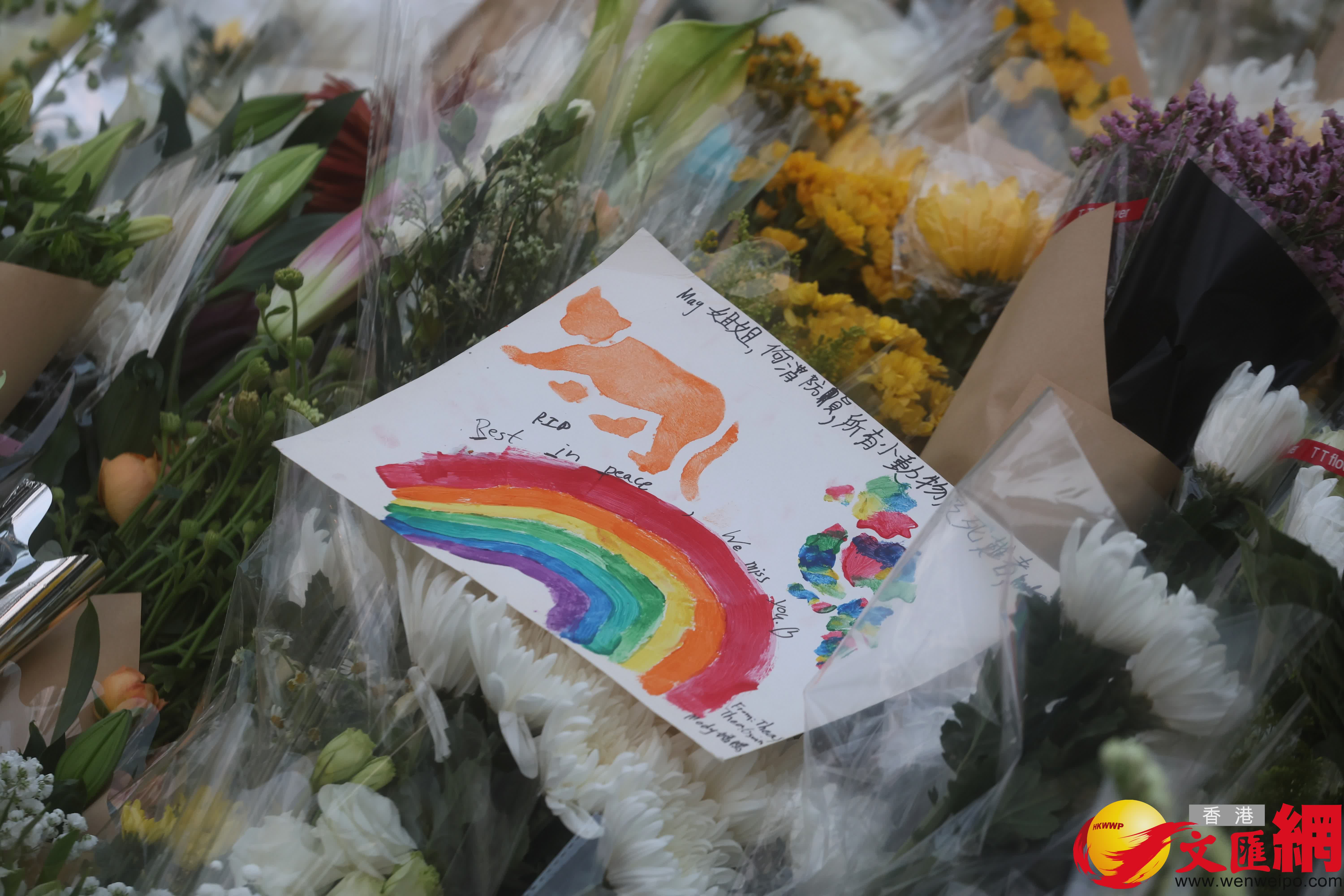 市民前往大埔宏福苑附近公園獻花致哀，留下花束等表達哀思。（香港文匯報記者郭木又攝）