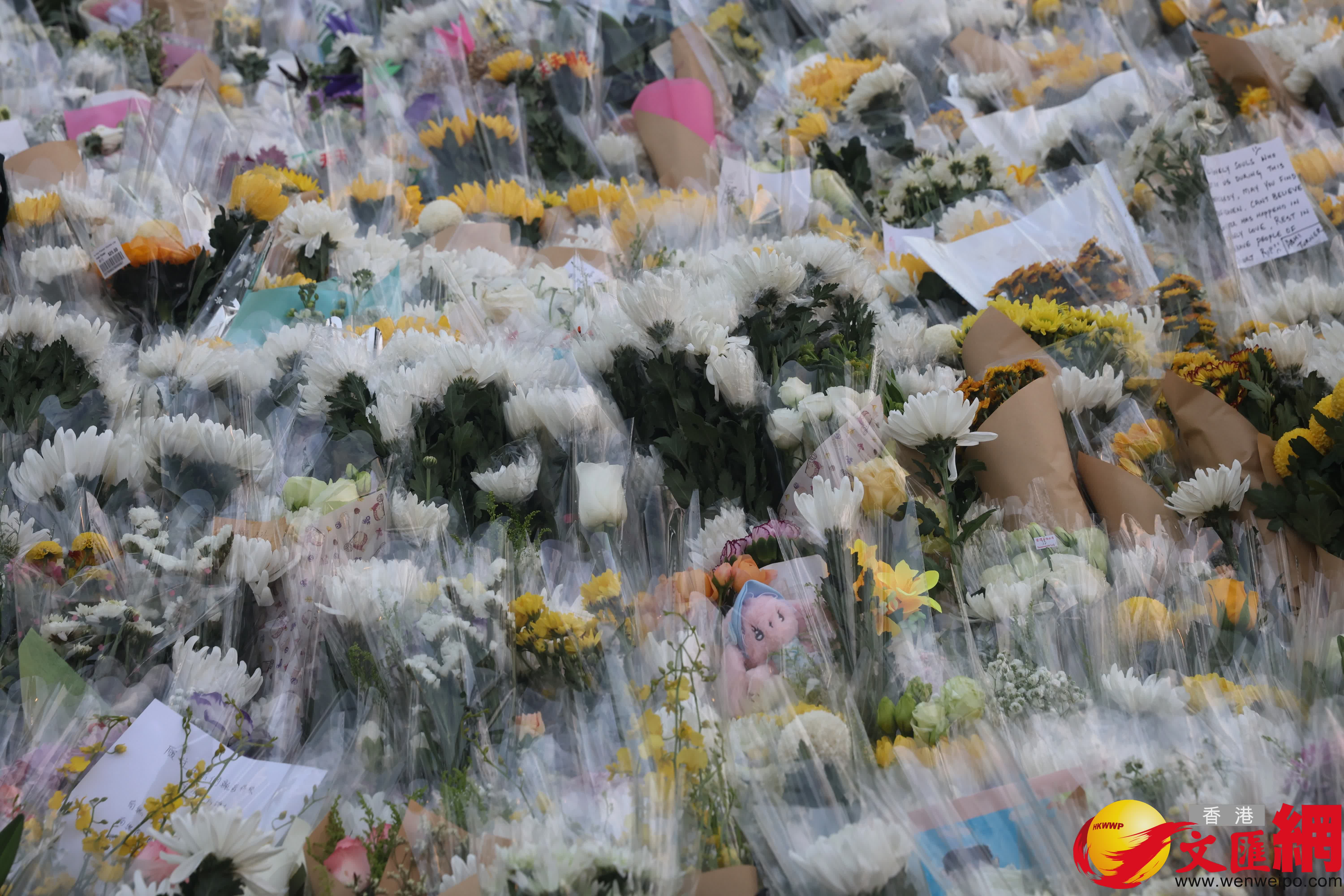 市民前往大埔宏福苑附近公園獻花致哀，留下花束等表達哀思。（香港文匯報記者郭木又攝）