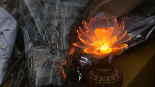 （多圖）大埔宏福苑大火｜市民自發到大埔宏福苑附近公園　獻花致哀