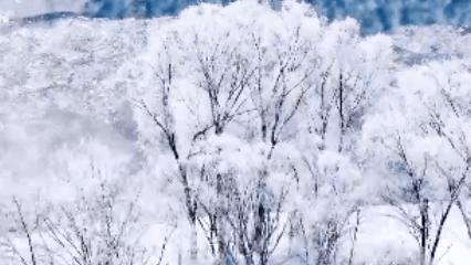 霧凇映冰河宛若仙境　航拍看額爾古納冬日美景