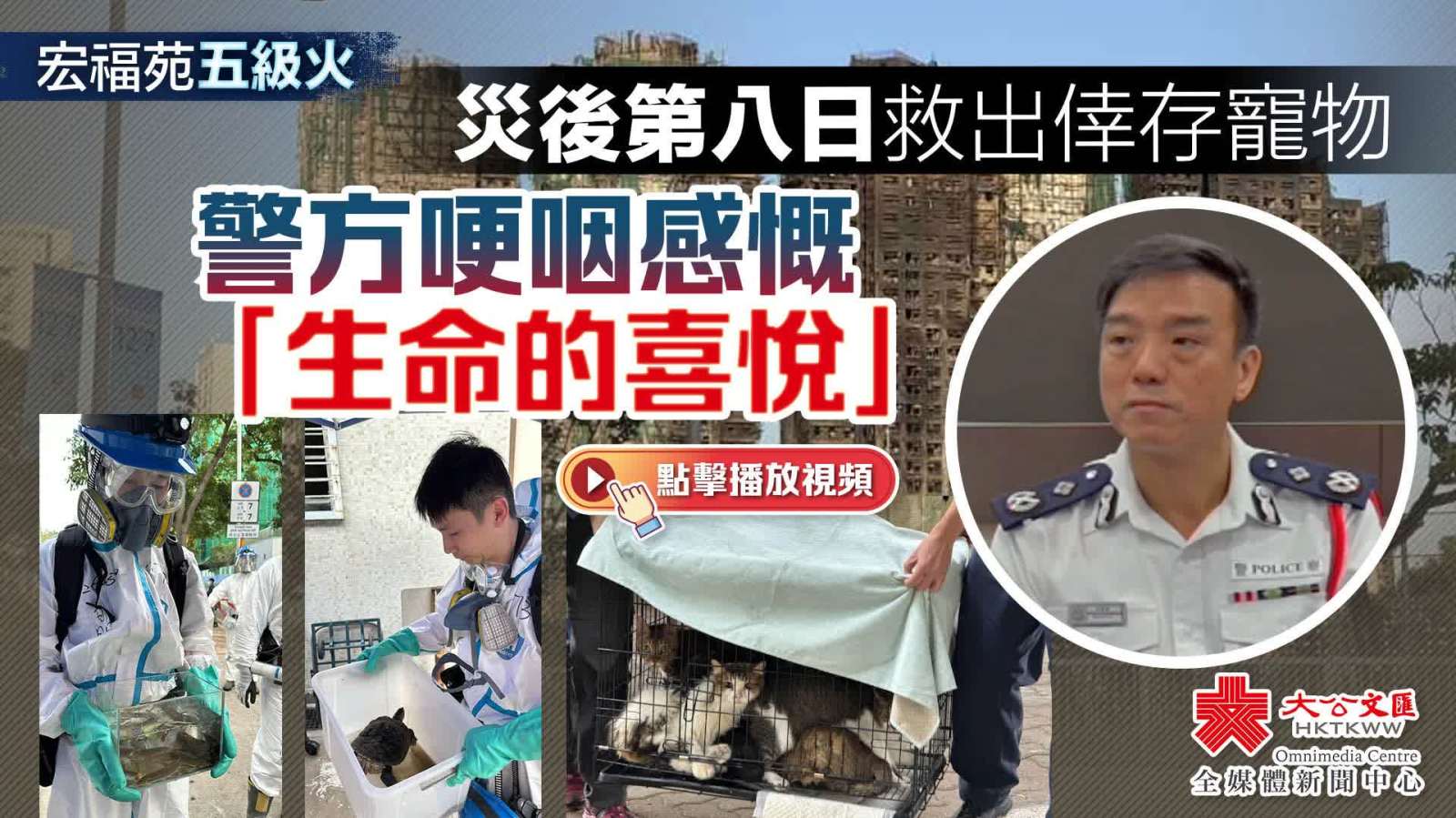 （有片）大埔宏福苑大火｜災後第八日救出倖存寵物　警方哽咽感慨「生命的喜悅」