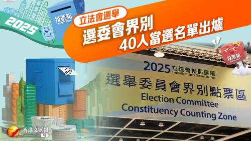 立法會選舉｜選委會界別40人當(dāng)選名單出爐