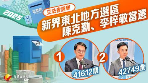 立法會選舉｜新界東北地方選區 陳克勤、李梓敬當選