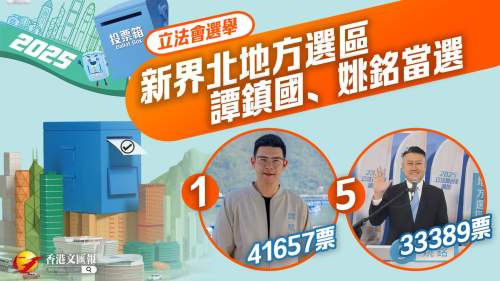 （有片）立法會選舉｜新界北地方選區譚鎮國、姚銘當選