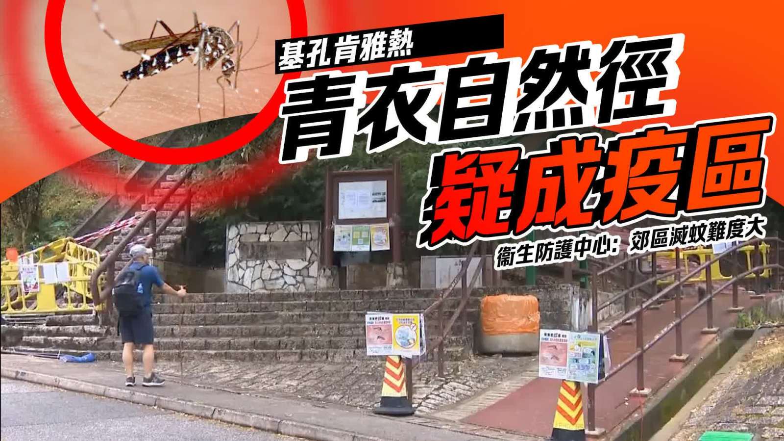基孔肯雅熱│青衣自然徑疑成「疫區」 衞生防護中心：郊區滅蚊難度大