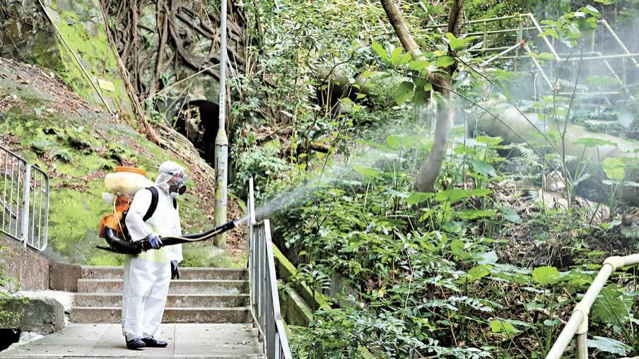 基孔肯雅熱│青衣自然徑感染個案再增一宗累計6個案 衞生署忠告市民暫勿往