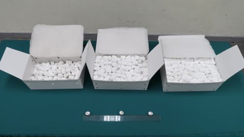 泰國抵港旅客遇查 揭藏714隻受管制瀕危鳥蛋市值千萬