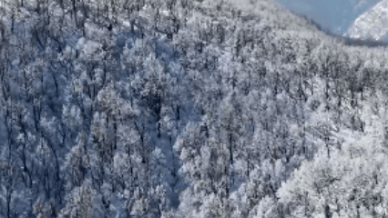 （有片）冬日皮膚已上新！太行山雪後變得毛茸茸