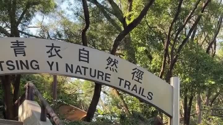 （有片）基孔肯雅熱｜食環署清理青衣自然徑約2300個潛在蚊子滋生地