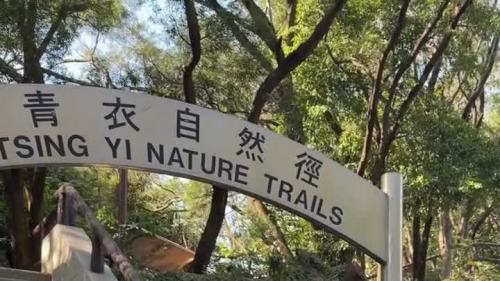 （有片）基孔肯雅熱｜食環署清理青衣自然徑約2300個潛在蚊子滋生地