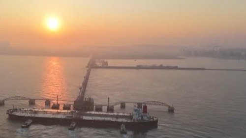 （有片）海南洋浦港第一批次入關貨物已經抵達