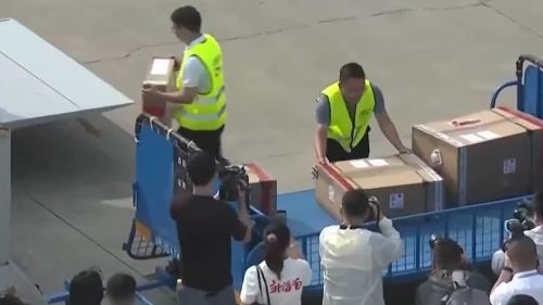 （有片）三亞鳳凰國際機場迎來第一批「零關稅」貨物