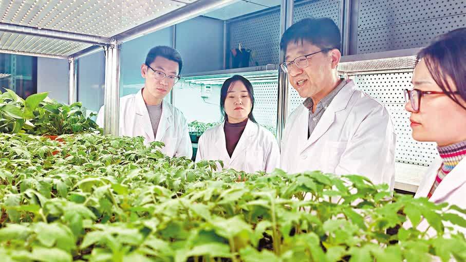 破解植物再生「世紀之問」　中國學者獲洪堡研究獎