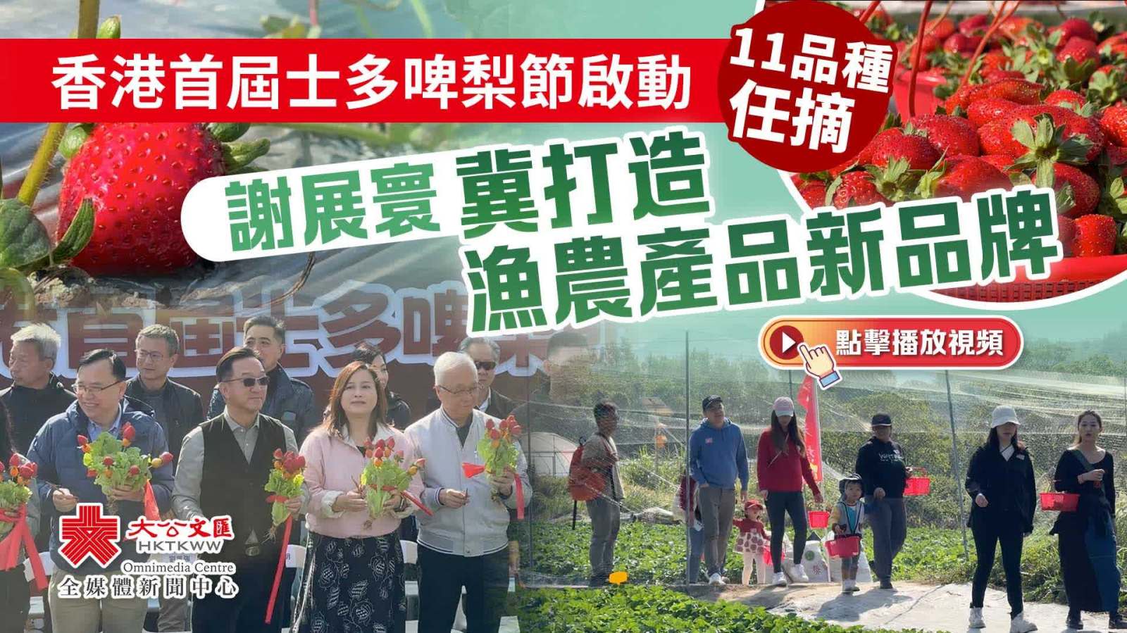 香港首屆士多啤梨節啟動　11品種任摘　謝展寰冀打造漁農產品新品牌