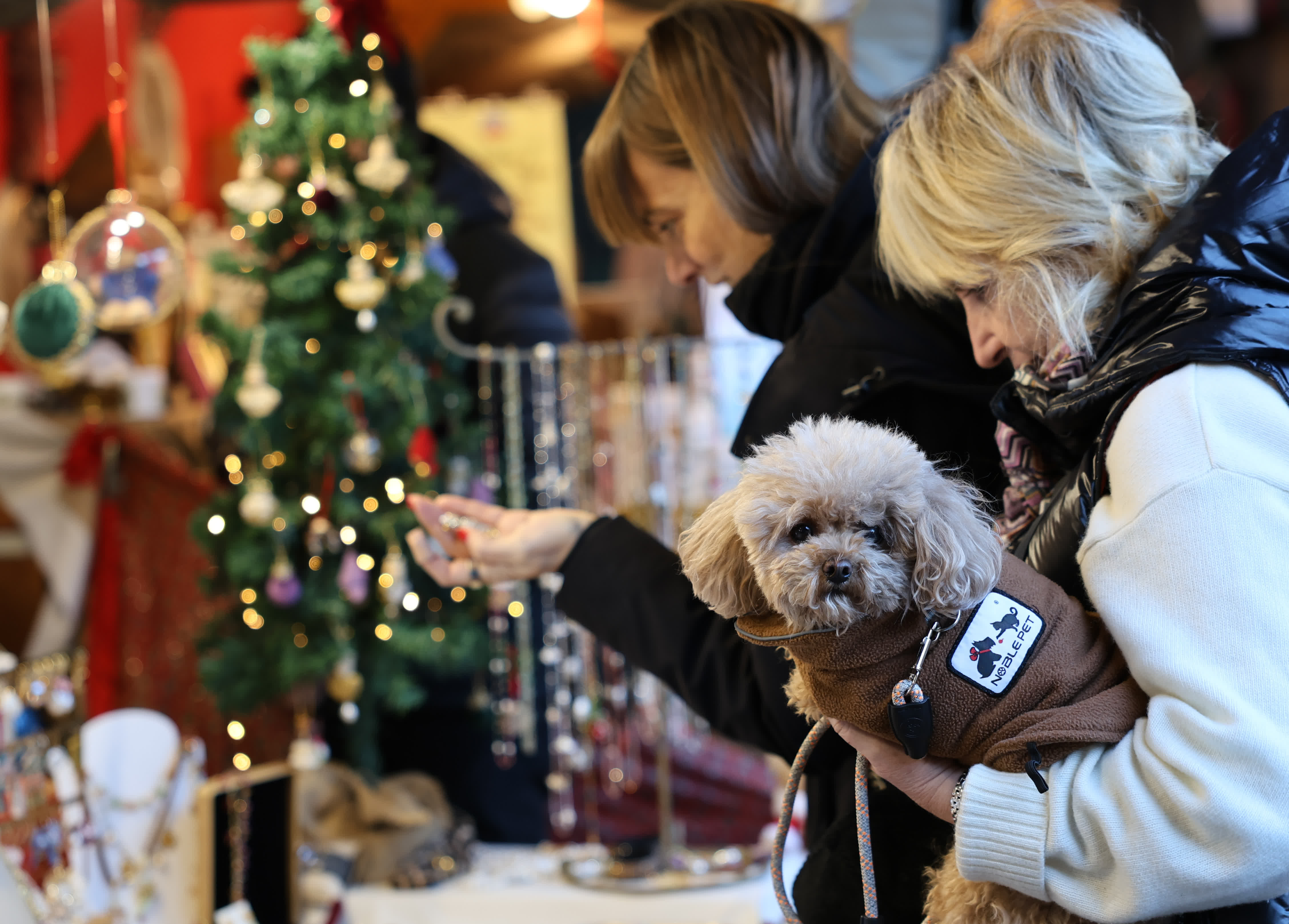 12月27日，在意大利羅馬馬齊尼廣場，市民在聖誕市集購物。新華社