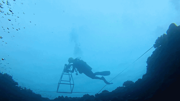 沉浸式體驗黃岩島「體檢師」的一天