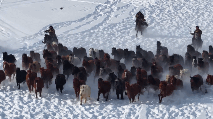 「天馬踏雪」迎新年　祝你馬到成功