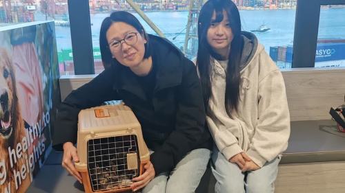 大埔宏福苑大火│災後一個月再現奇蹟 愛協元旦再尋獲生還貓貓