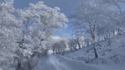 （有片）今日小寒　我國大部進入全年最冷時段