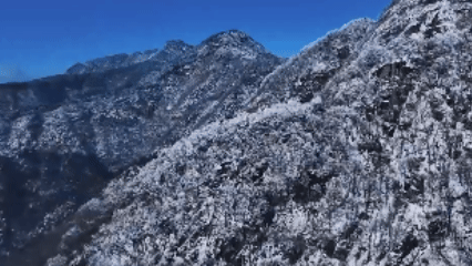 （有片）美！雪後黃柏山宛如水墨畫卷