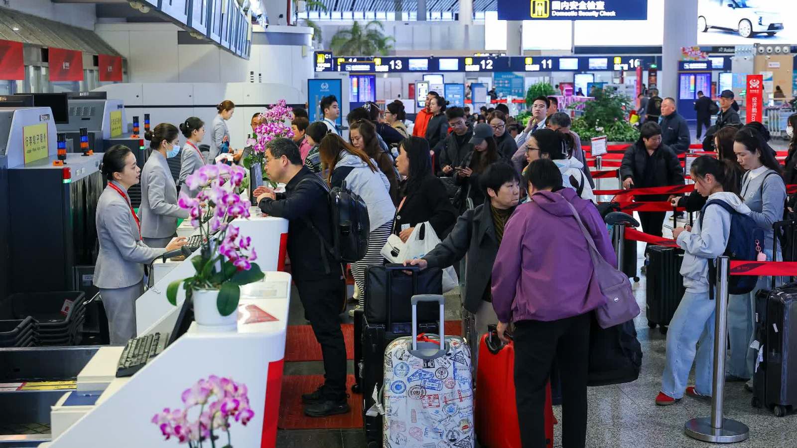 國內多條航線機票價格「大跳水」　1折機票來了