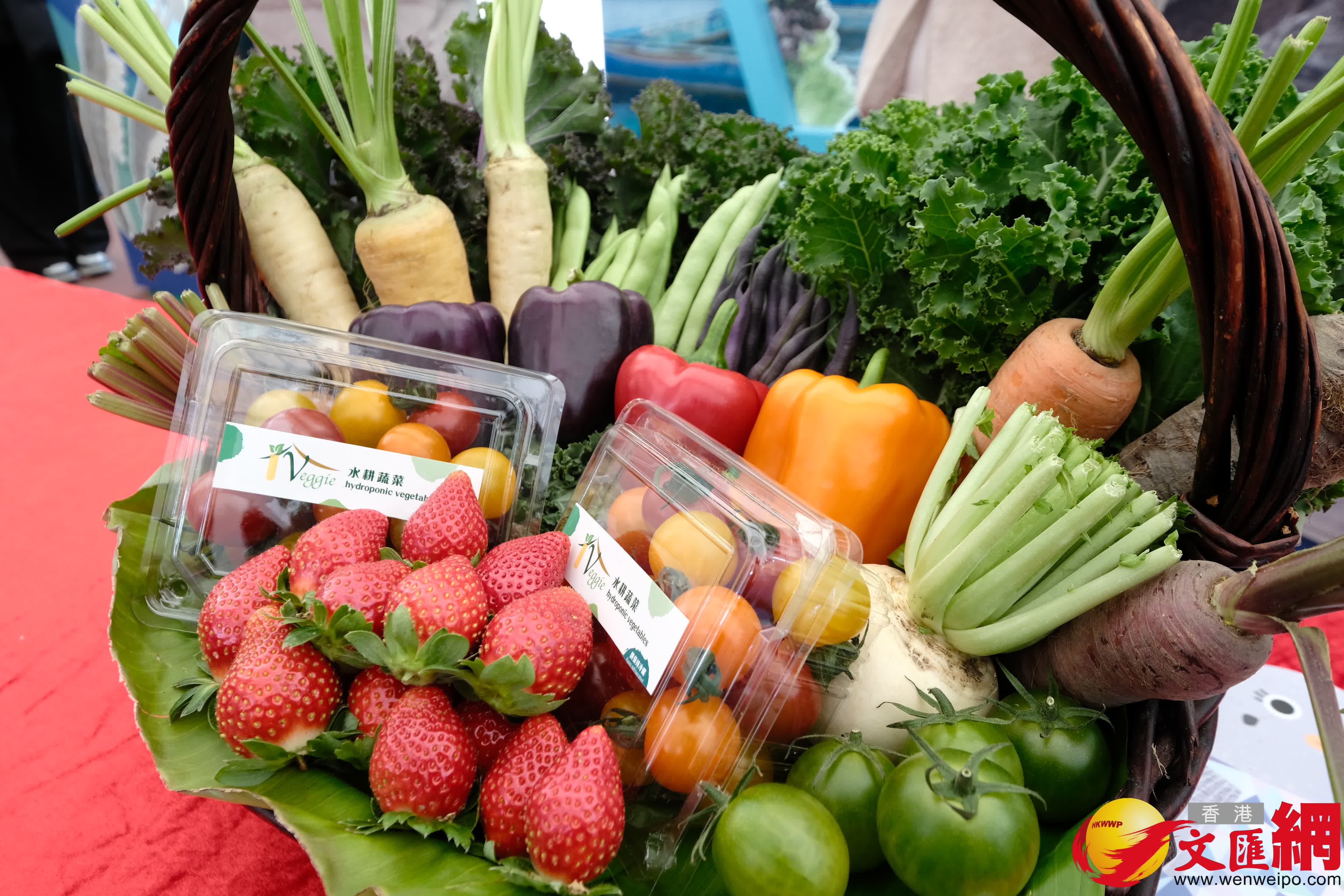 玩遊戲獲購物優惠！2026本地漁農美食嘉年華在旺角花墟公園舉行