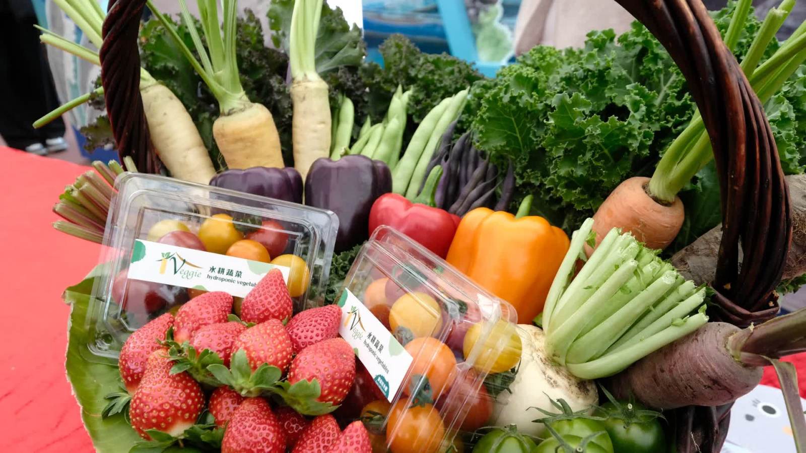 漁農美食嘉年華開鑼　逾400攤位免費入場