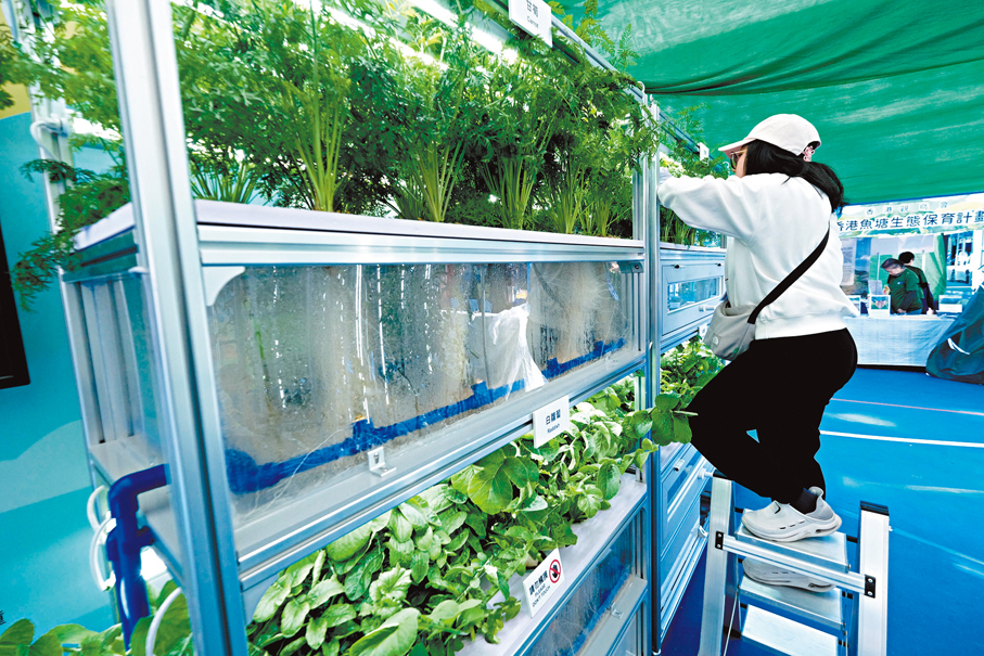 2026香港本地漁農嘉年華開幕超430攤位展銷港產佳品