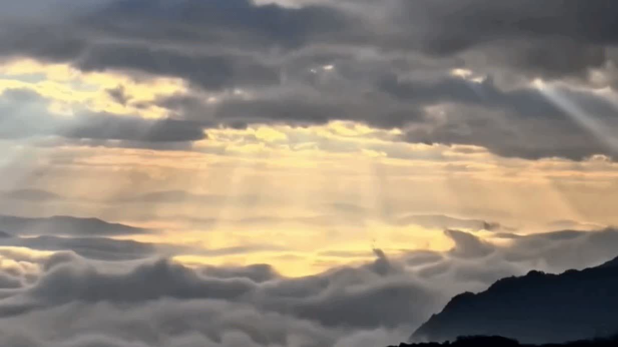 （有片）「丁達爾效應」邂逅哀牢山雲海　原來光真的有「形狀」