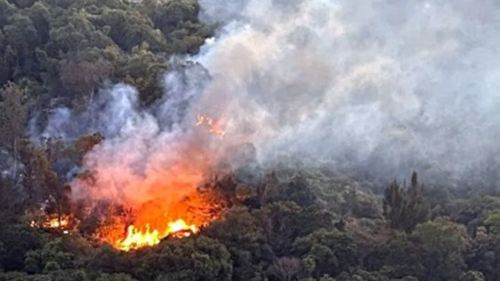 粉嶺畫眉山山火逼民居 消防員助九旬婦撤離暫避