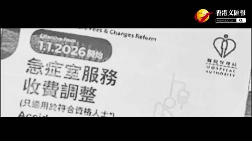 (有片)急症室加價見效 首周求診跌12%
夜診不足 市民無奈：深夜惟有奔急症