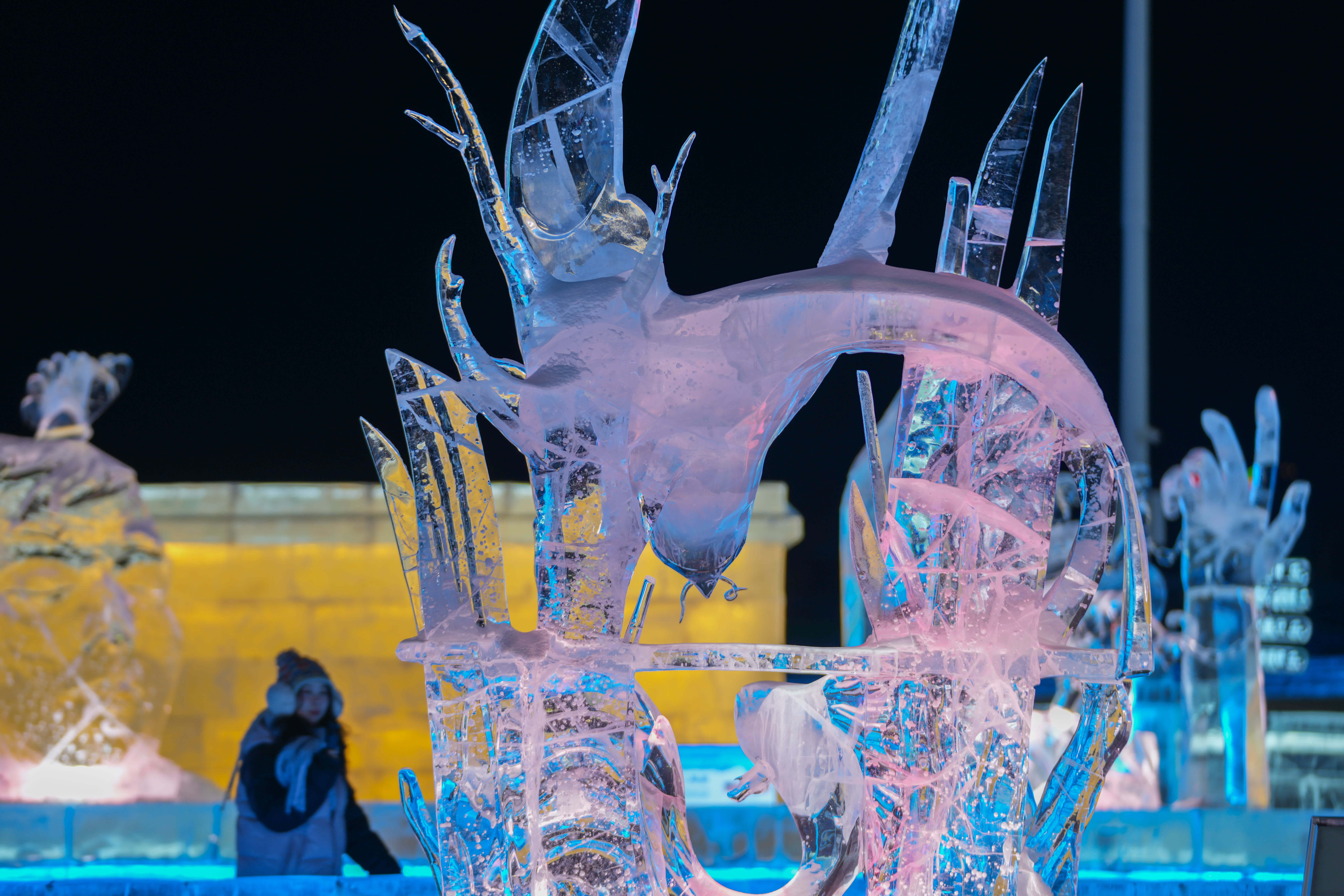1月13日，遊客在欣賞第37屆中國·哈爾濱國際冰雕比賽作品。（新華社）