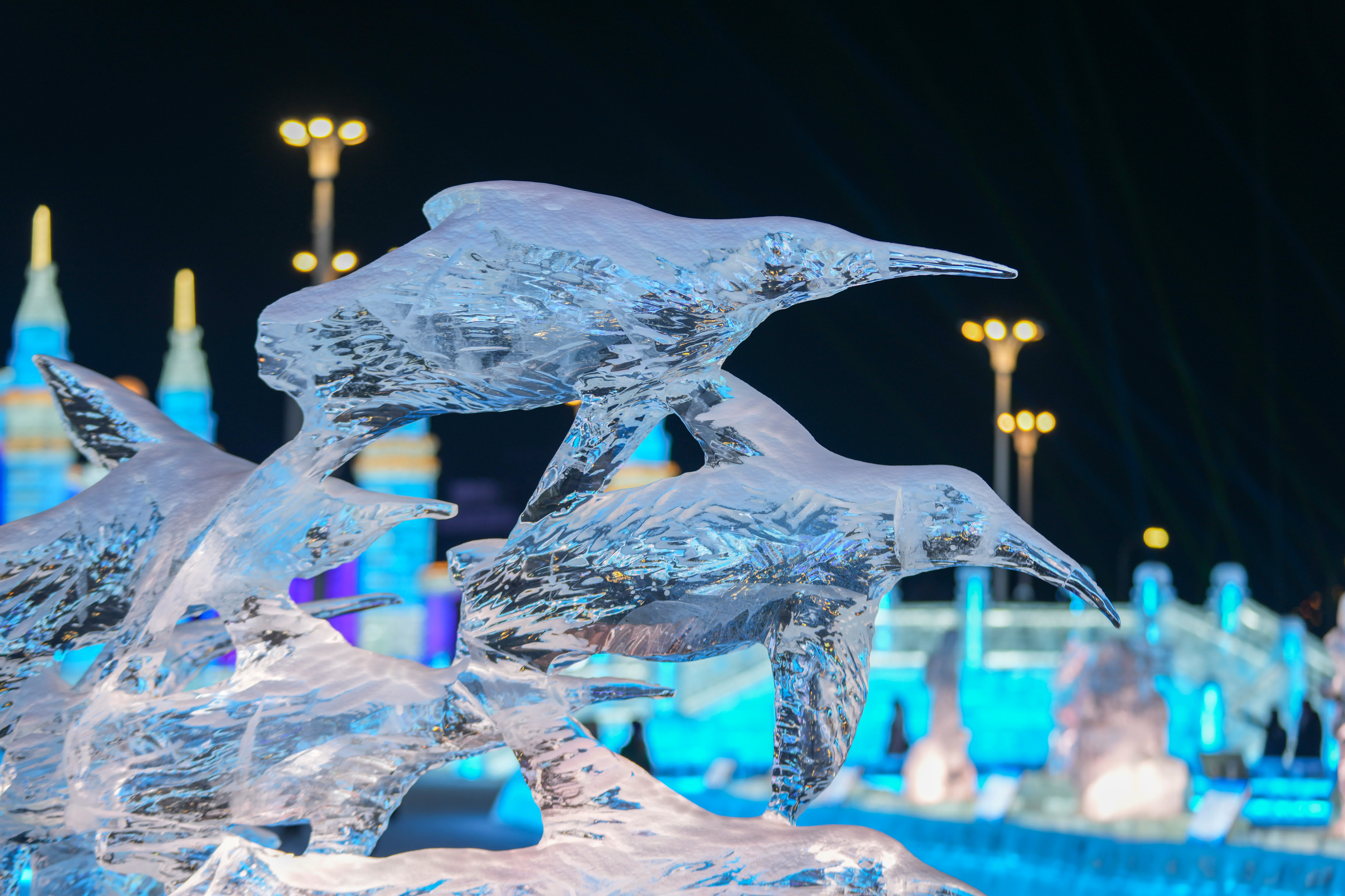 1月13日，遊客在欣賞第37屆中國·哈爾濱國際冰雕比賽作品。（新華社）