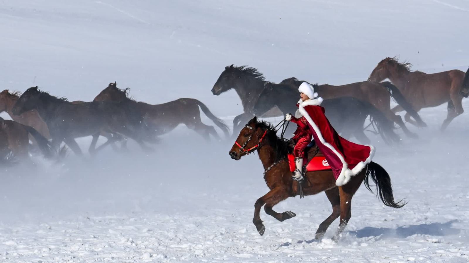 賀嬌龍不幸離世　意外墜馬致頭部嚴重受傷