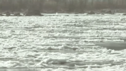 （有片）冬日限定！空中俯瞰黃河流凌的磅礴之美