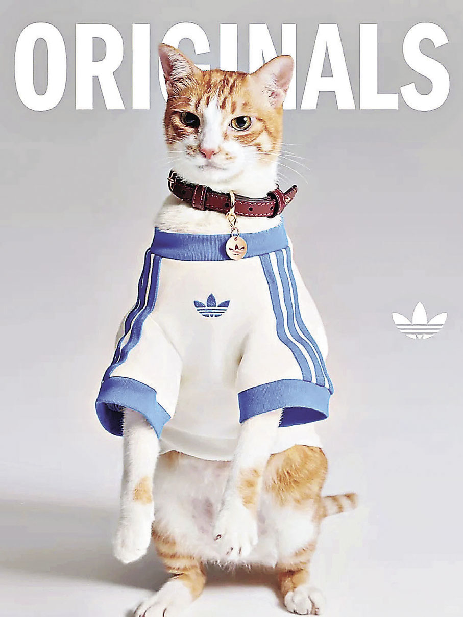 2026春節毛孩新衣選單：adidas中式唐裝與Emis潮帽上架！