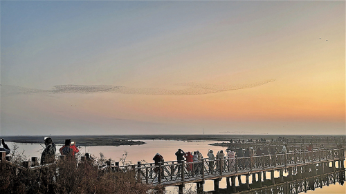 保護區濕地「鳥浪化鯤」