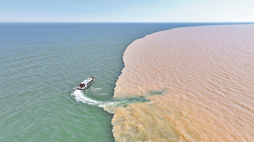 山東東營玩轉黃河口  賞「河海交匯」與鳥浪奇觀 