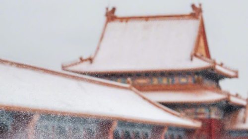 故宮雪景上新！來看鵝毛大雪裏的金瓦紅牆