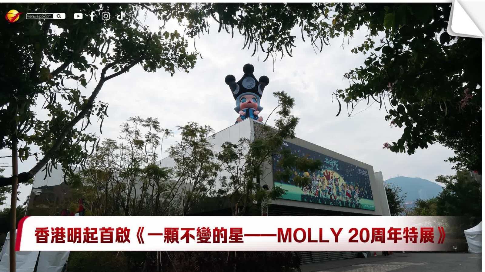 （有片）香港明日起首啟《一顆不變的星——MOLLY 20周年特展》　五大展區回溯星光旅程