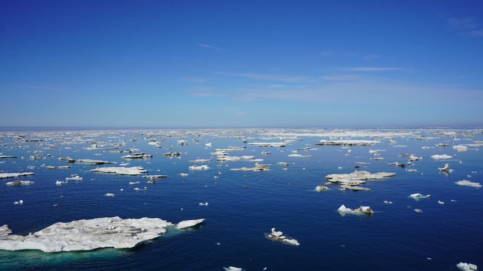 普京：無論如何都將開發北極