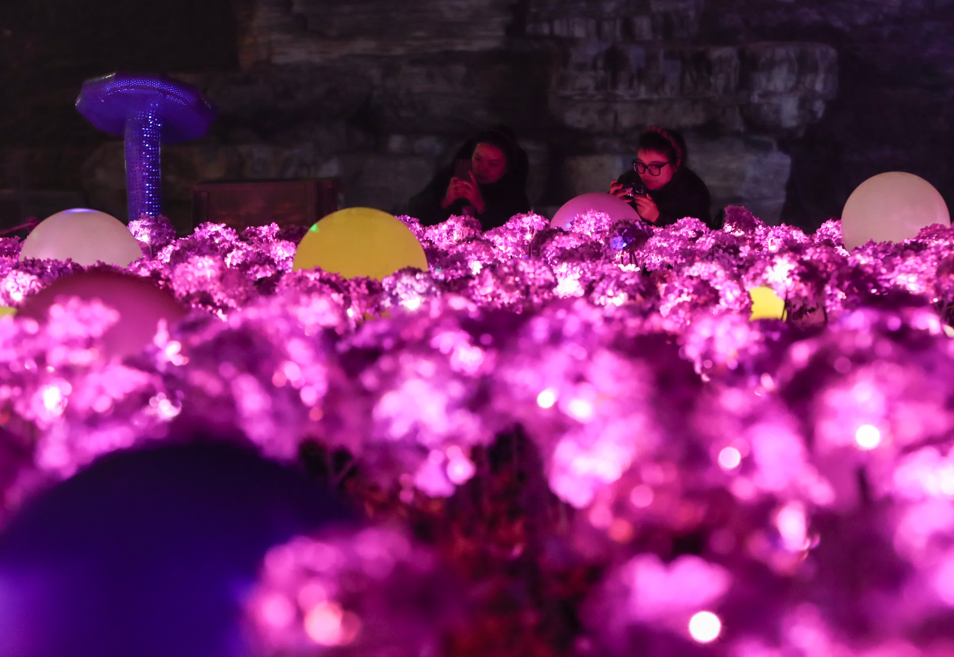 1月24日，遊客在拍攝主題燈飾。（新華社）