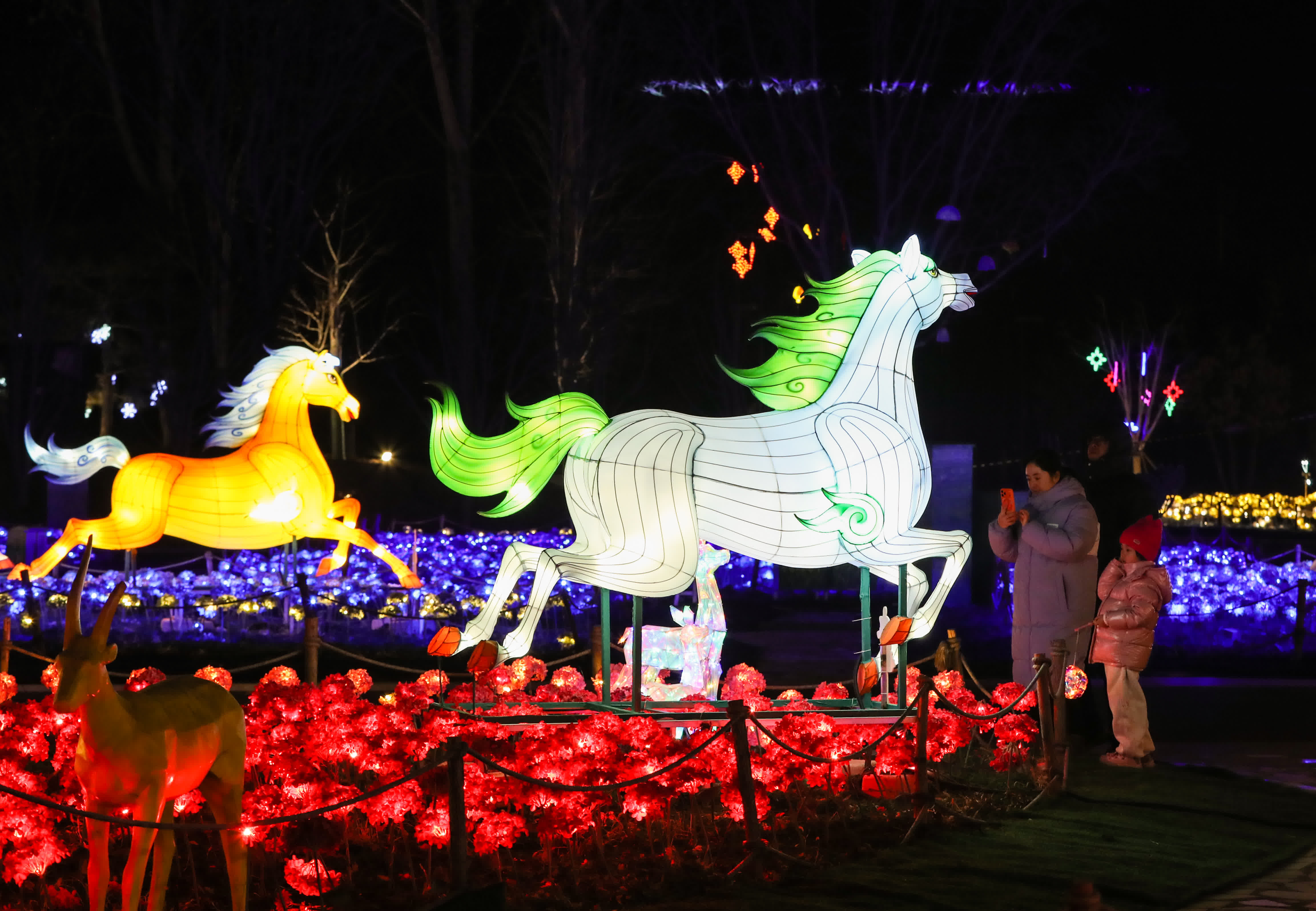 1月24日，遊客在觀看主題燈飾。（新華社）