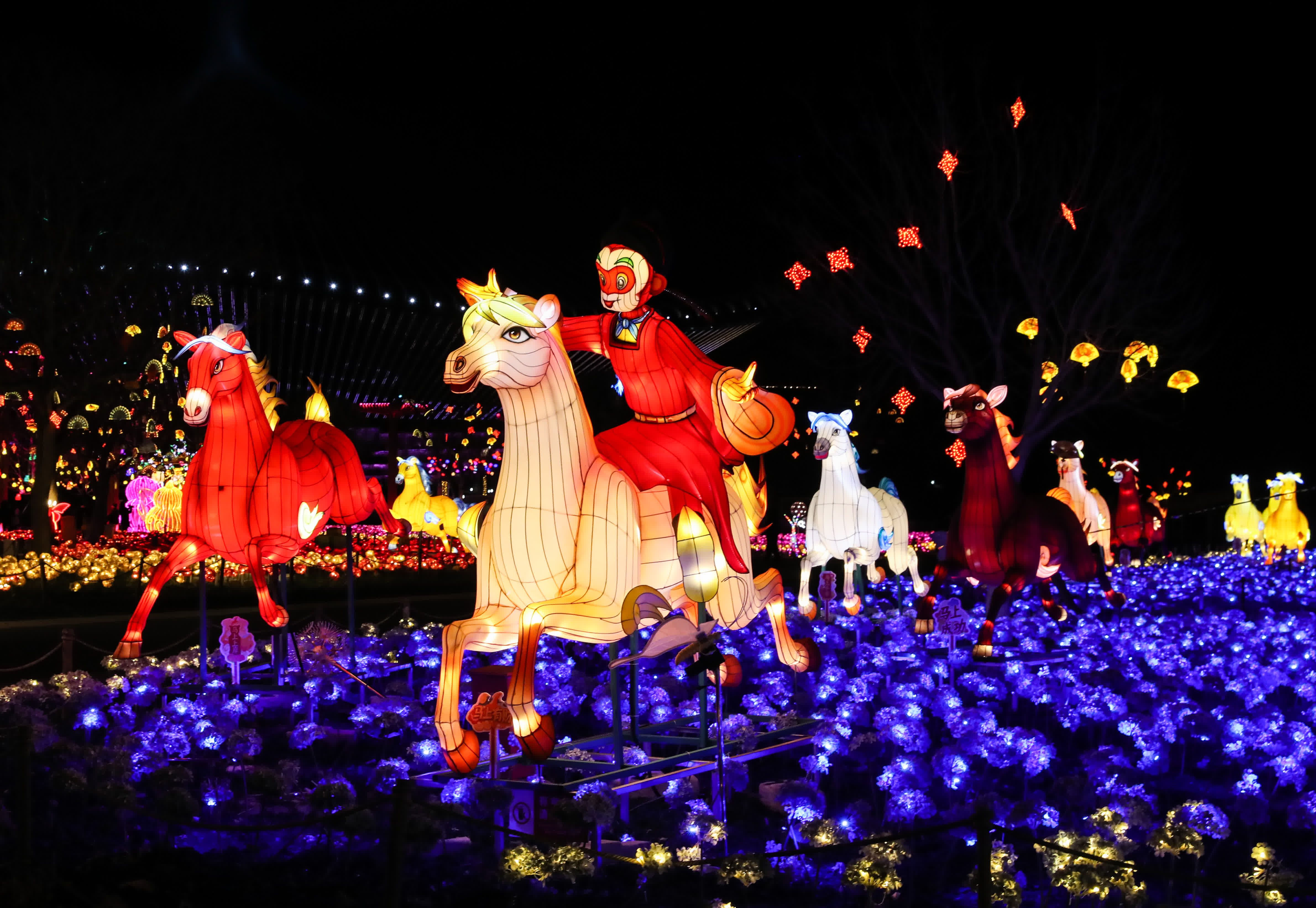 這是1月24日拍攝的主題燈飾。（新華社）